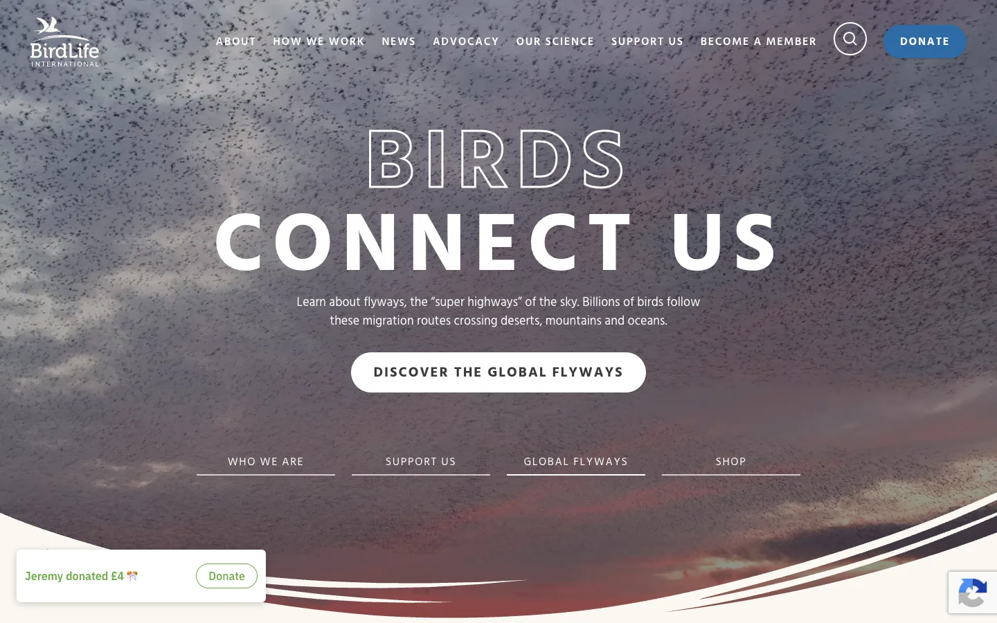 Screenshot of the BirdLife International homepage