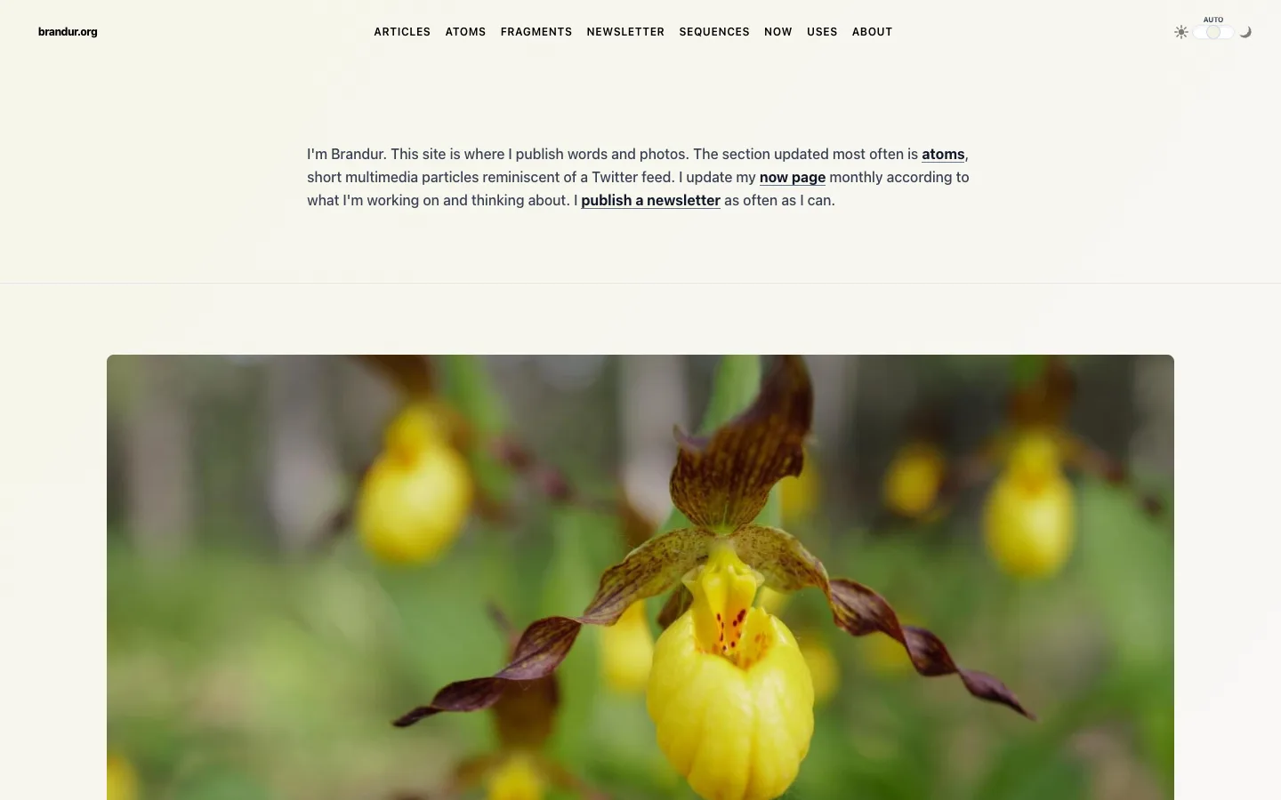 Screenshot of the brandur.org homepage