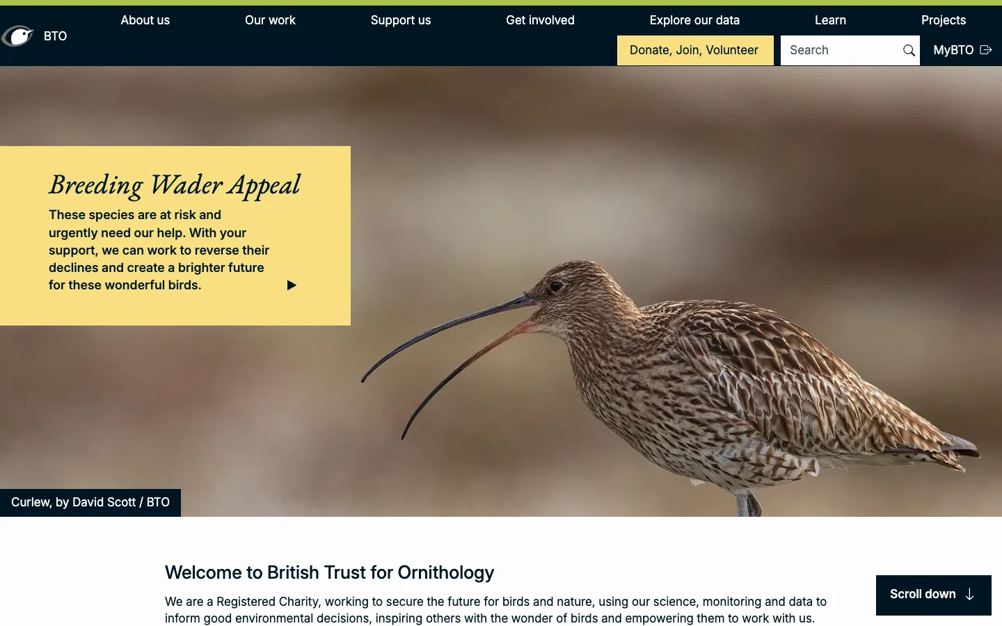 Screenshot of the British Trust for Ornithology homepage