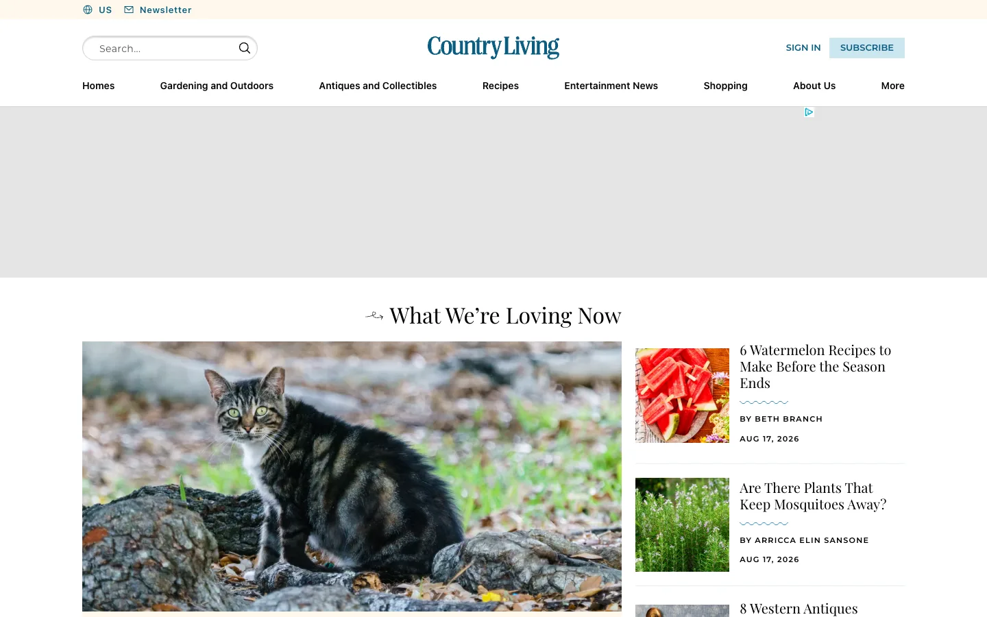 Screenshot of the Country Living homepage