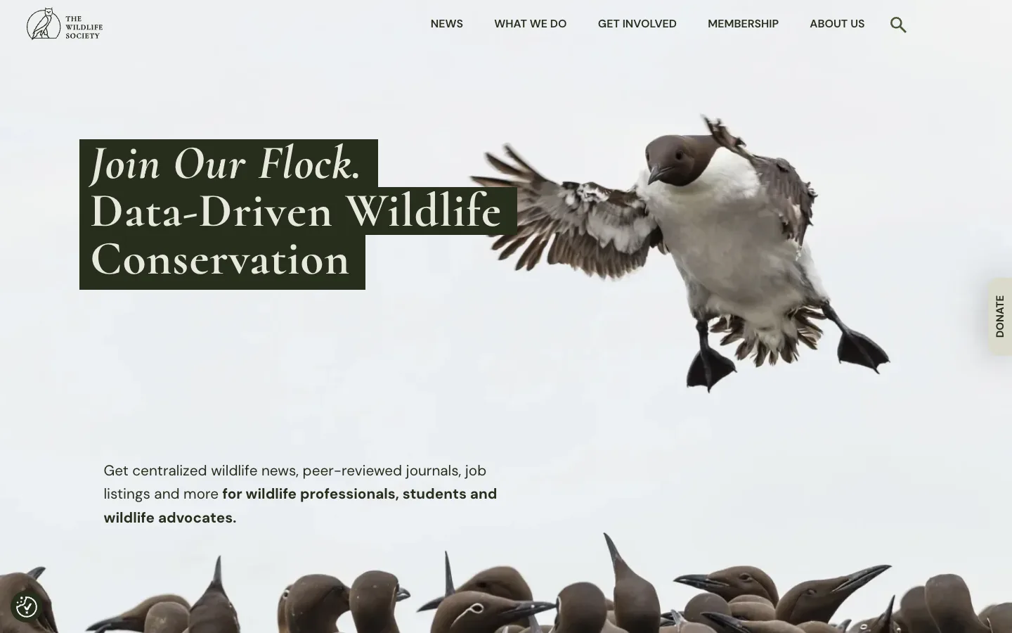 Screenshot of the The Wildlife Society homepage